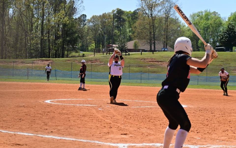 Backyard and Small-Sided Wiffle Ball Competitions